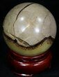 Polished Septarian Sphere #32019-1
